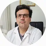 Hamid Jebelli