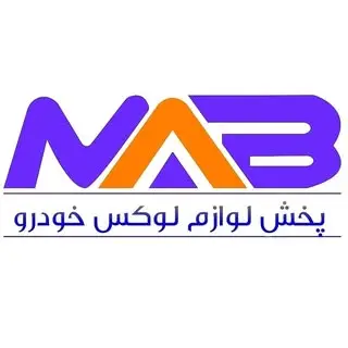 Mostafa Ahmadi M.A.B