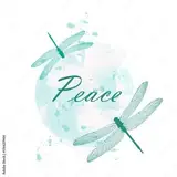 مطب زیبایی صلح
