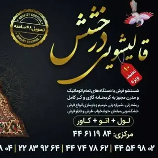 قالیشویی |  مبلشویی  |درخشش | سراسر تهران |