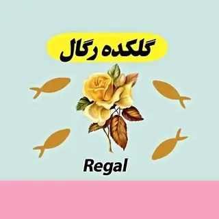 گلکده رگال ورامین?