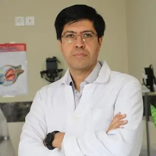 دکتر محمد یاسر کیارودی