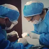 Dr Reza Tavakoli