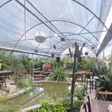 Palm Cafe Restaurant