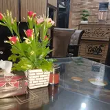 Zeyton Catering