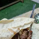 جگرکی سیروان پرویزپور