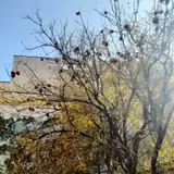 Farhang Shahr