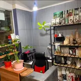 کافه انرژی پرند قهوه انرژی