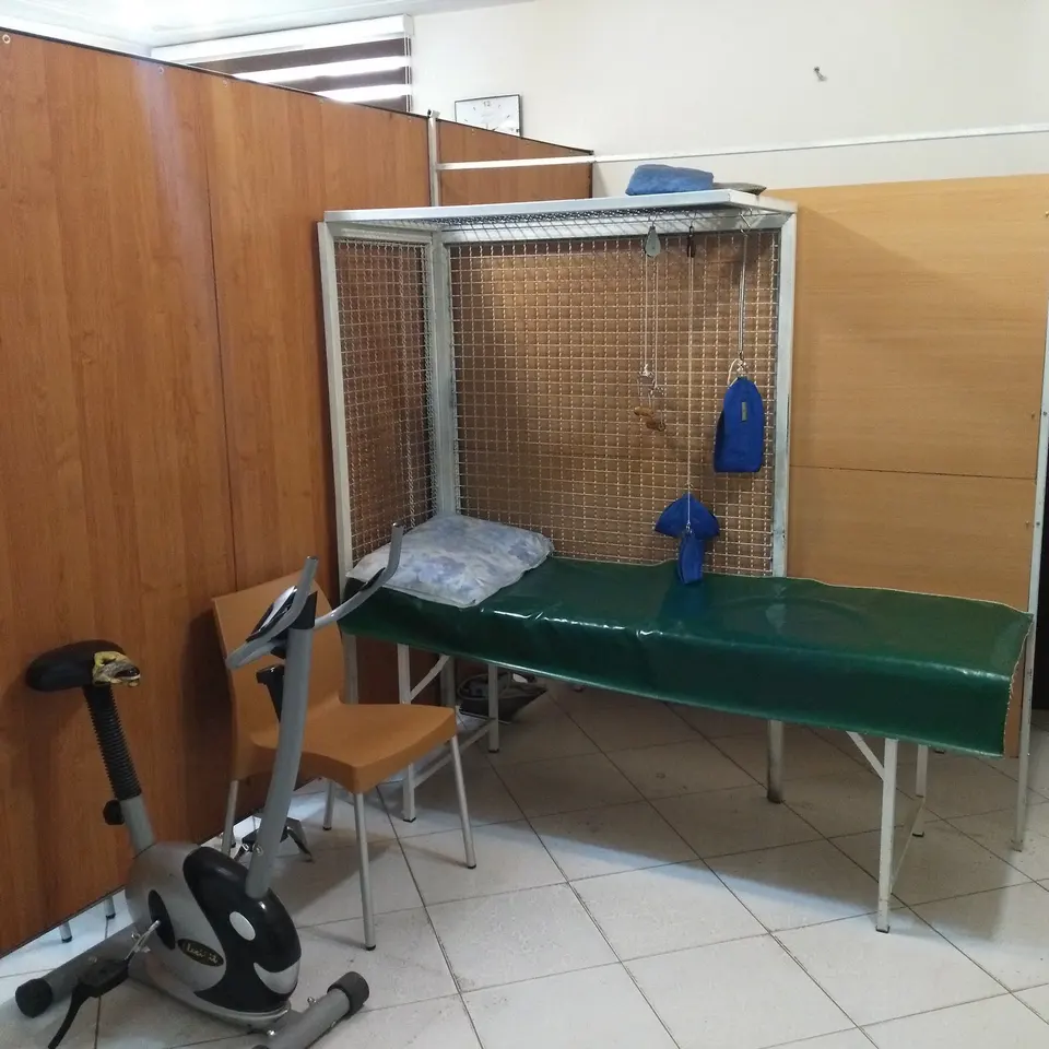 Ebne Sina Physiotherapy