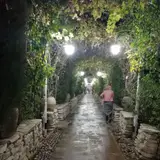 Ghasrodasht Arboretum
