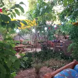 باغ رستوران ترنج