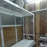 Afsharpour physiotherapy clinic