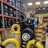لاستیک شجاعی