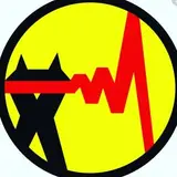 پخش کالا برق اسدی
