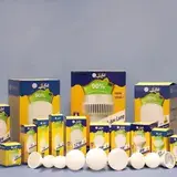 آرمان الکتریک گلستان