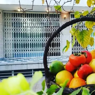 آکاردئونی سازی