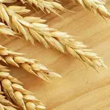 مرکز زیبایی و لیزر گندم