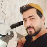 کاشت مو ایلام/کاشتمو جوانمردی