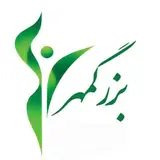 Bozorgmehr clinic
