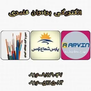 Electrici_ameri