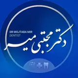 دکتر مجتبی میر
