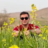 دكترمحمدگرايلی