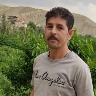 Hamid Lavasani