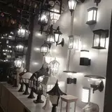 Electric Beach Beauty