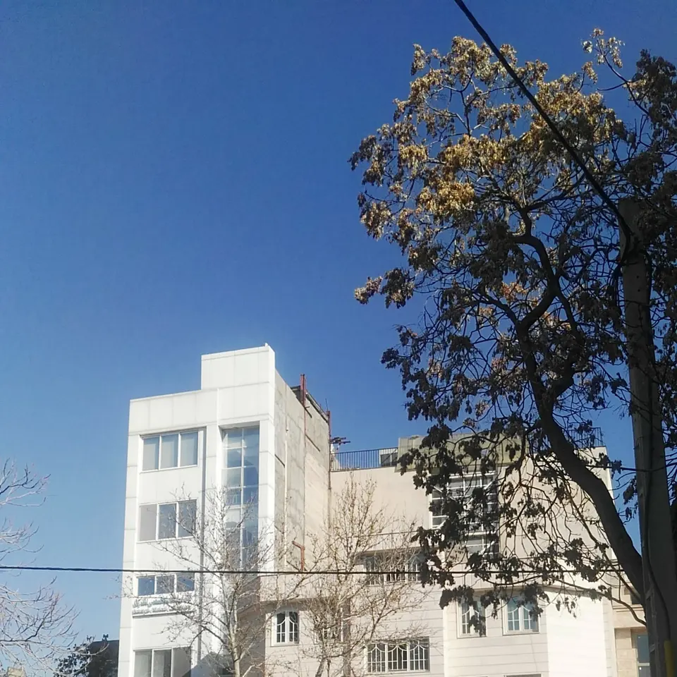 دکتر مهرناز تولایی
