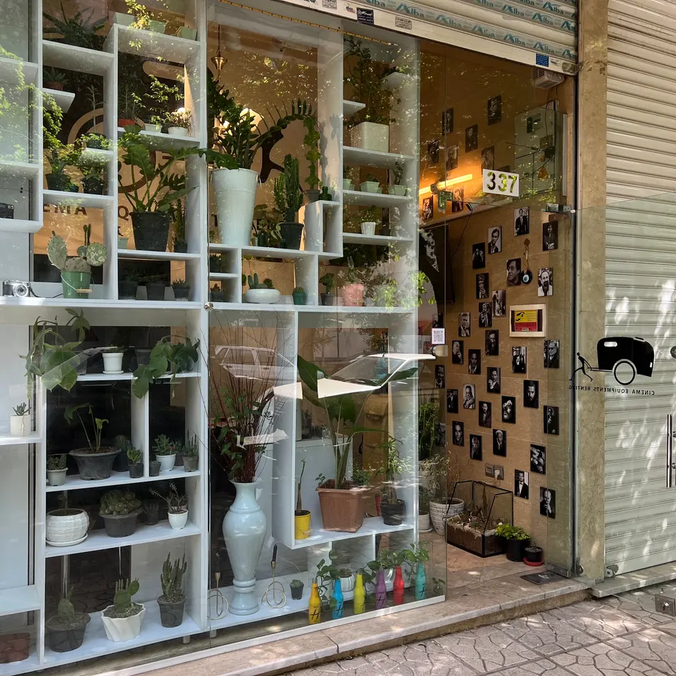Max shop