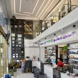 الکتریکی محمودی