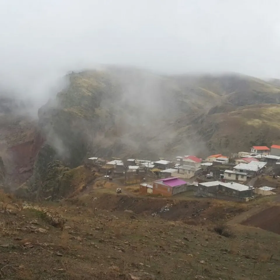 دکتر فريبا الماسی