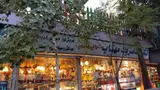 الکنریکی پوریا (الکتروپوریا)