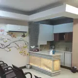 دکتر شهناز شایان فر