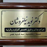 Dr. Navid Nilforooshan