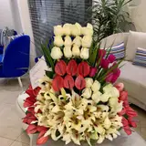 دکتر میترا بهمن پور - متخصص زنان و جراح زیبایی زنان