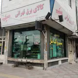 Tehrani electric