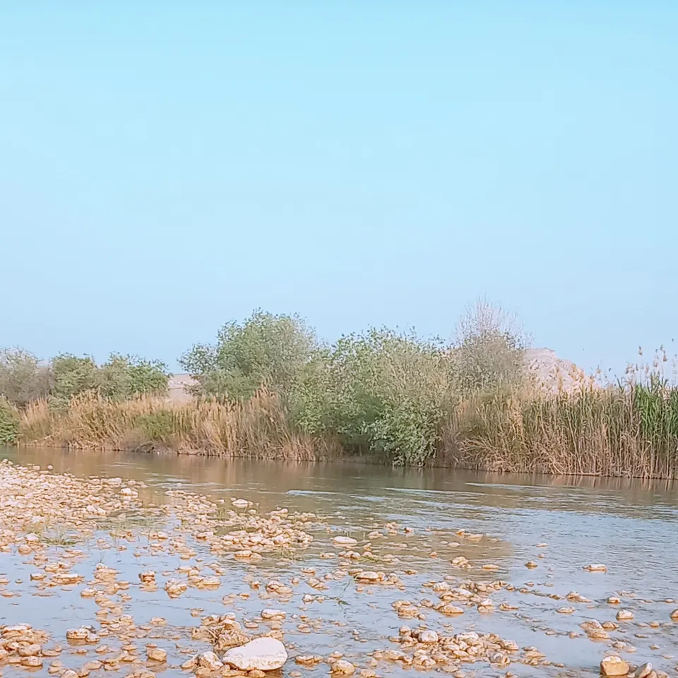 کلینیک زیبایی