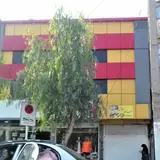 عینک نگاه