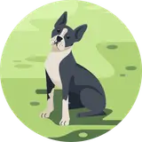 دکتر محمد پریمن