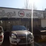 صافکاری و نقاشی دلیر