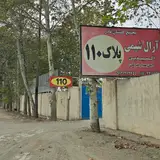 رویش الکتریک