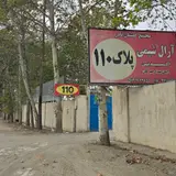 رویش الکتریک