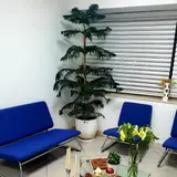 مرکز پوست، مو، زیبایی و لیزر ترنج