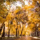 Chahar Bagh e Bala