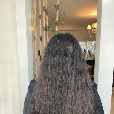 narges bagheri