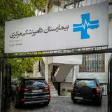 Central Veterinary Hospital