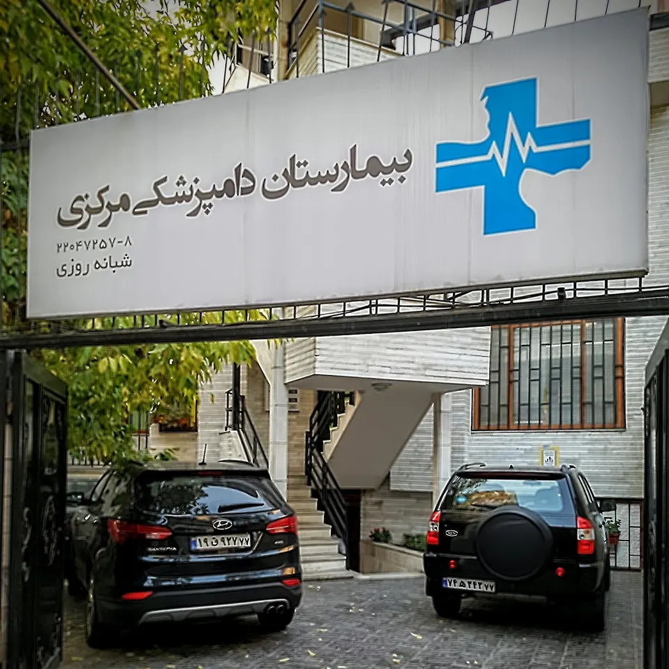 Central Veterinary Hospital