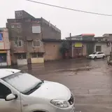 الکتریکی گلباران