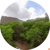 تراشکاری رکورد